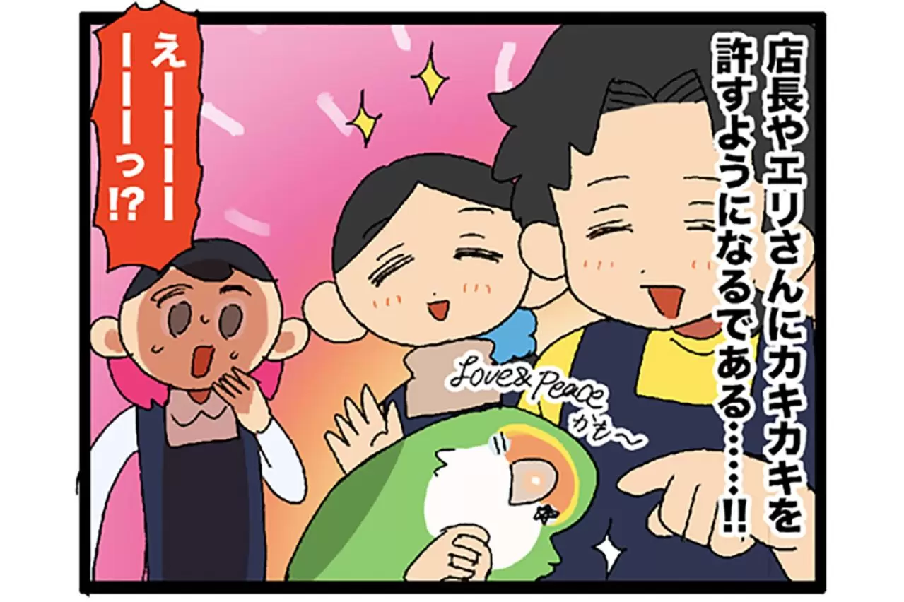 インコが猫をかぶってる！？／インコが店長を噛んだ【鳥マンガ＃65