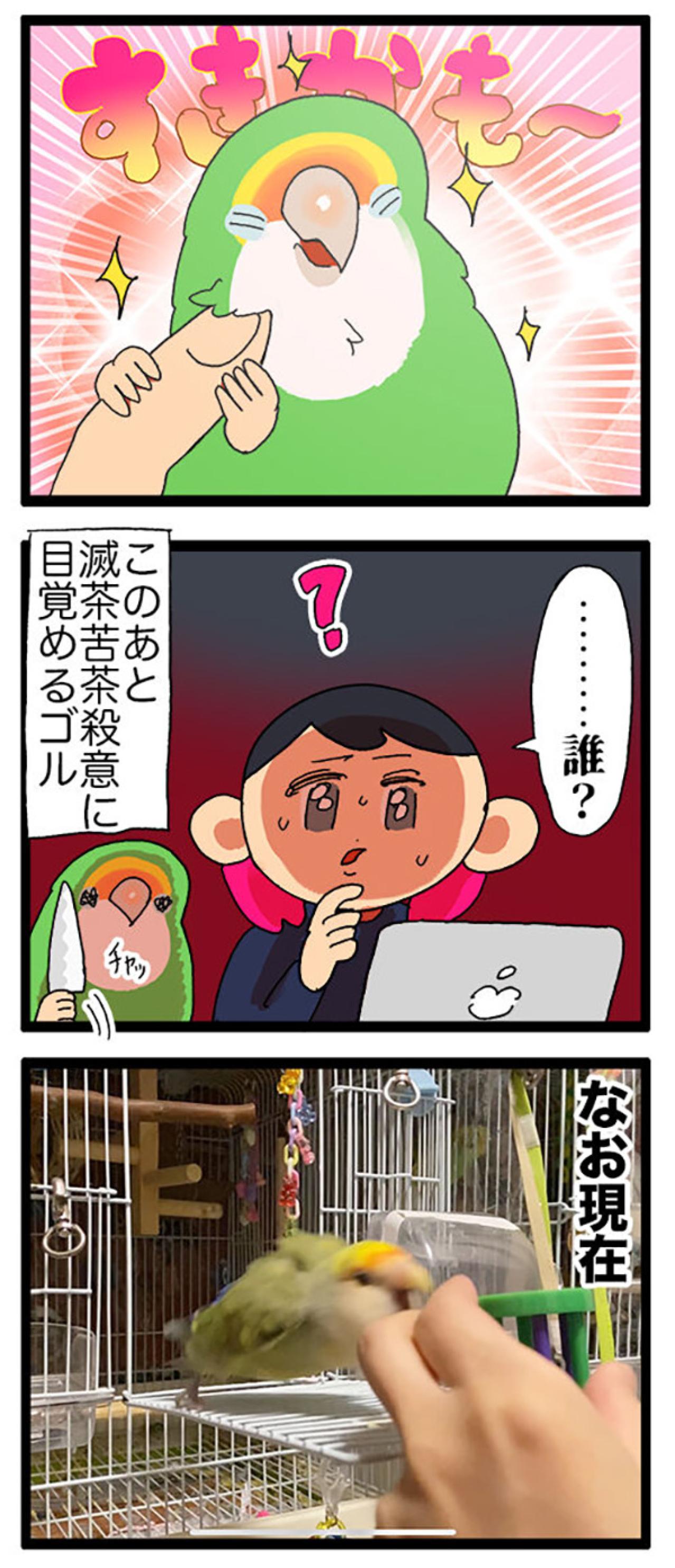 インコが固まった理由とは？／女帝インコ今昔【鳥マンガ＃63】（画像6）
