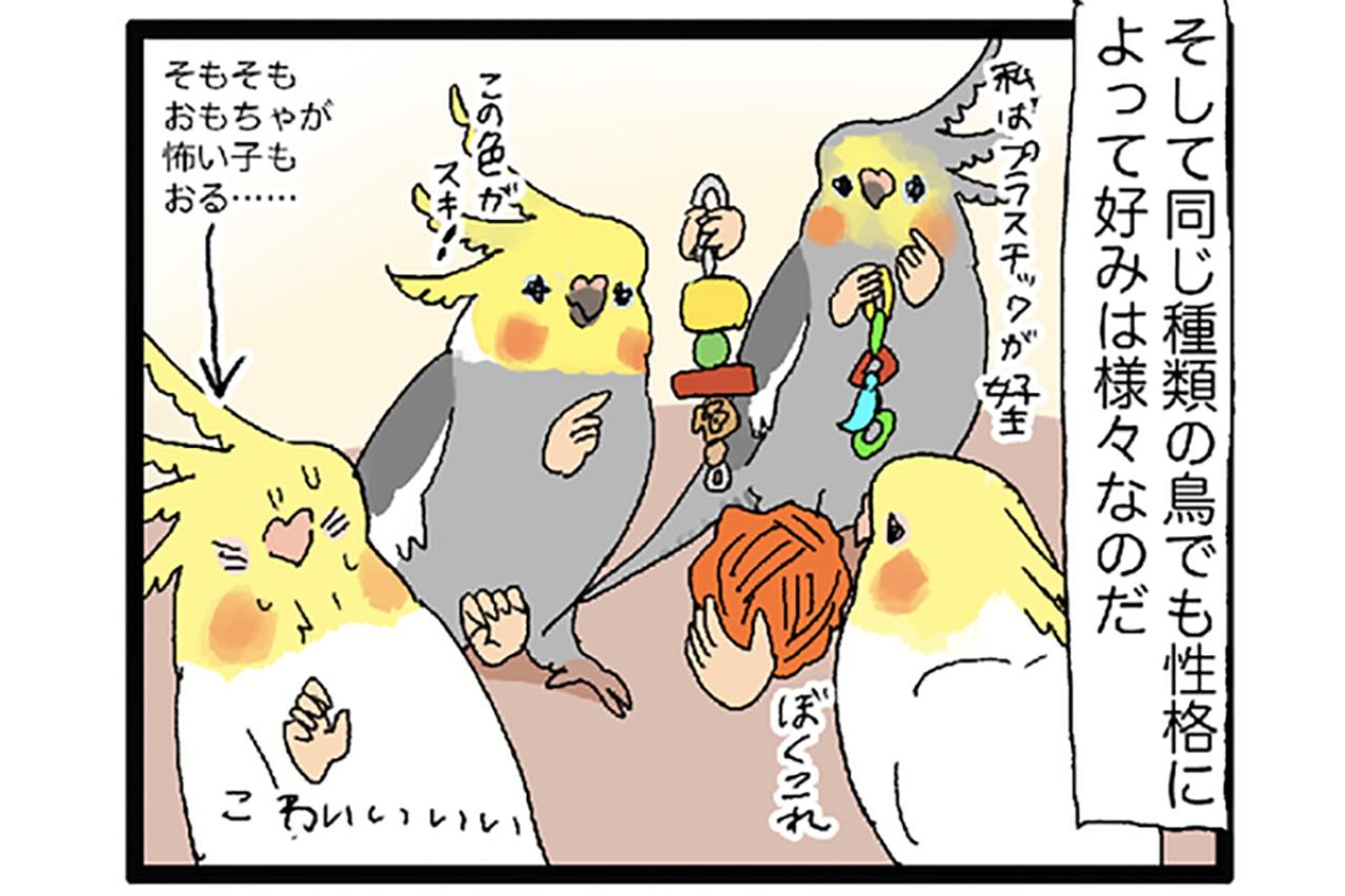 インコのおもちゃが選び放題！／今年が2か月で終了したのはなぜ？【鳥マンガ＃64】