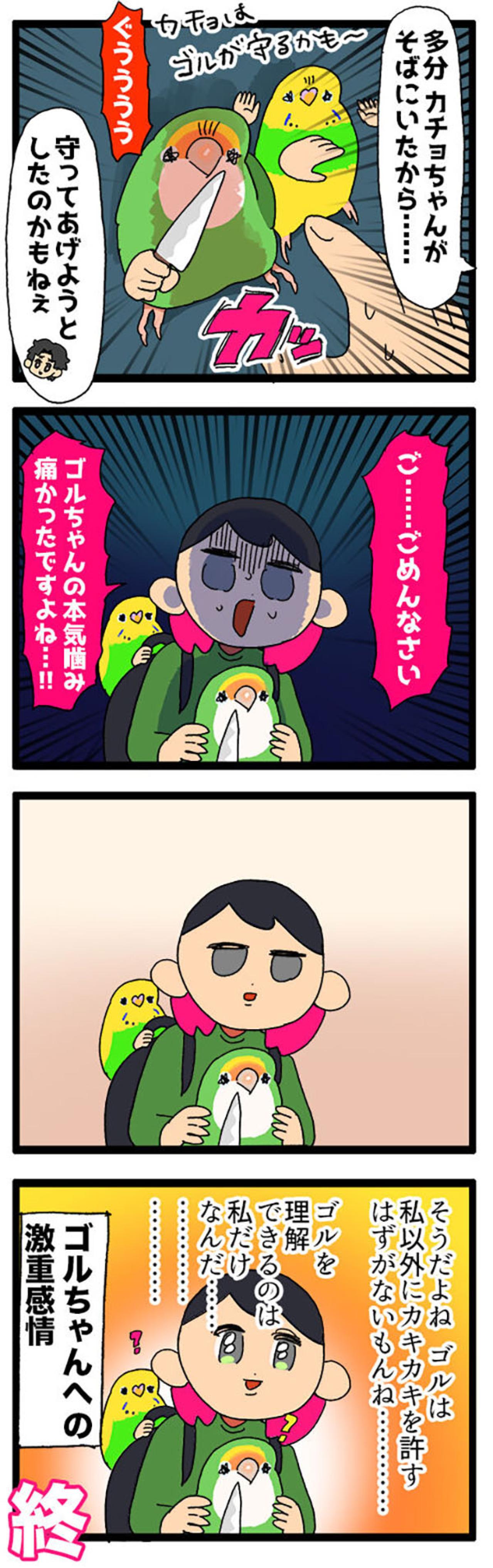 インコが猫をかぶってる！？／インコが店長を噛んだ【鳥マンガ＃65】（画像7）