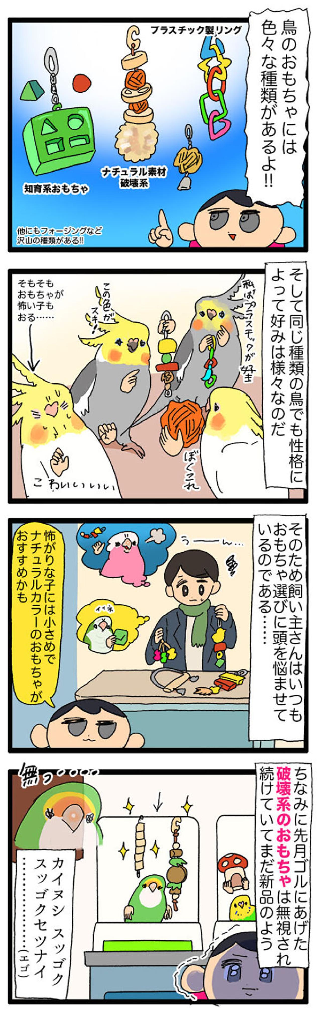 インコのおもちゃが選び放題！／今年が2か月で終了したのはなぜ？【鳥マンガ＃64】（画像3）