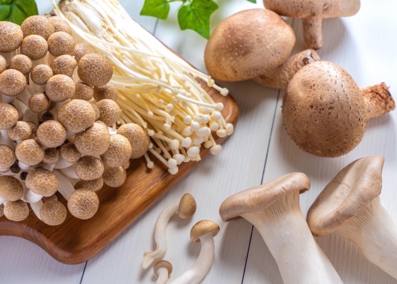  体内にたまった毒が【認知症】の原因の1つ!?  毒素排出効果のある食べ物を長寿研究の第一人者・白澤卓二さんが解説