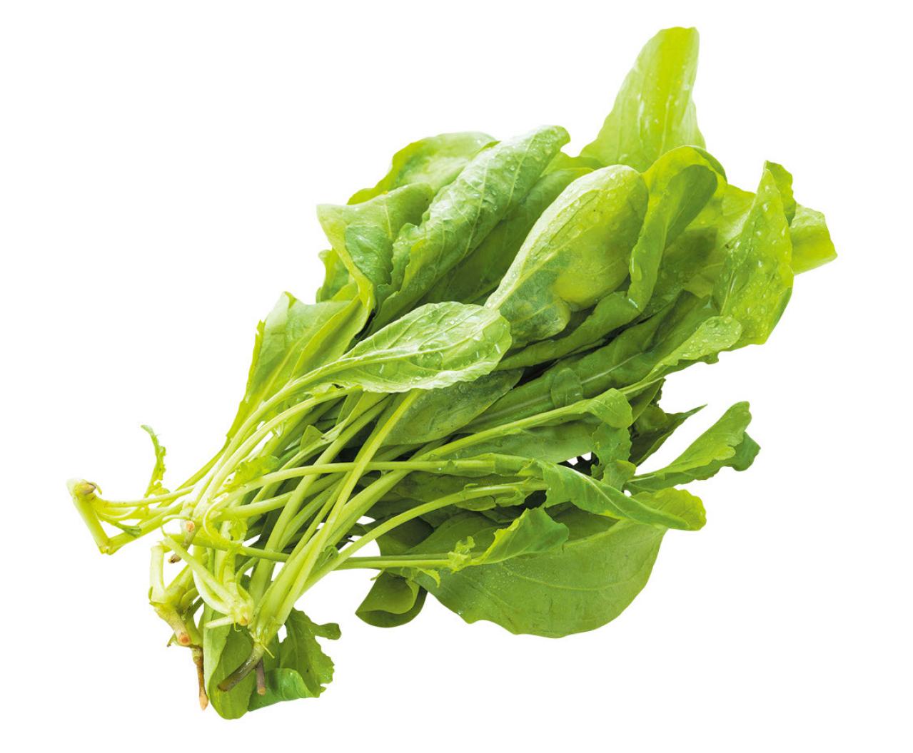  体内にたまった毒が【認知症】の原因の1つ!?  毒素排出効果のある食べ物を長寿研究の第一人者・白澤卓二さんが解説（画像10）