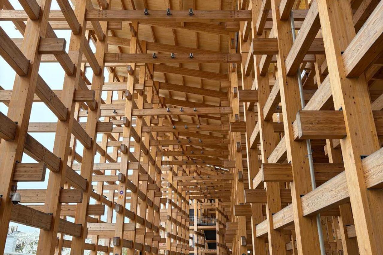 50代 大阪万博体験記｜紙のマップは必要？ランチタイムは？支払い方法のアドバイスも！「大屋根リングに早く上がりたいけどちょっと待って…」