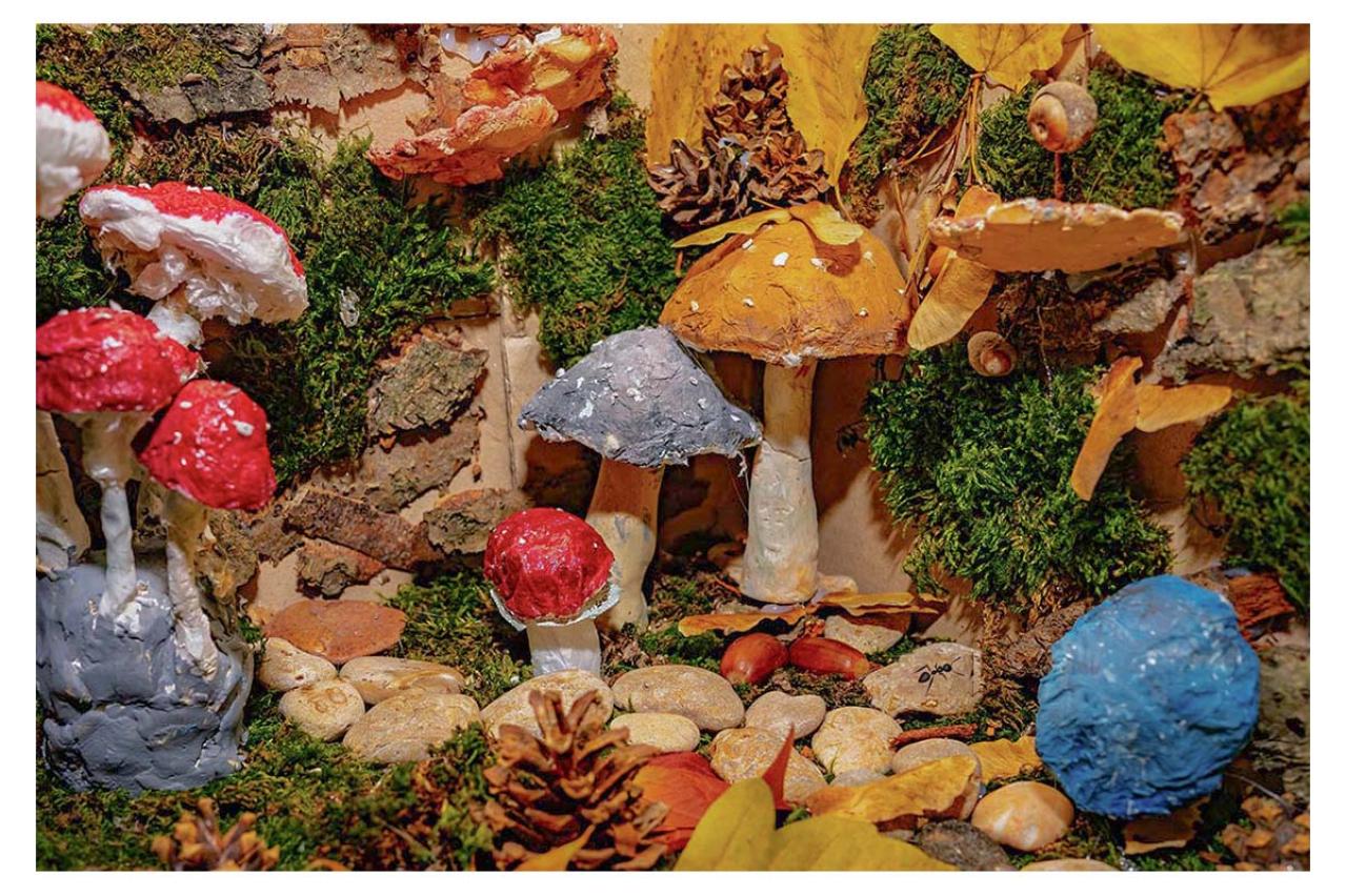 宮沢賢治の『ありときのこ』あらすじ紹介。ミクロの世界で描かれる壮大なユーモアと哲学