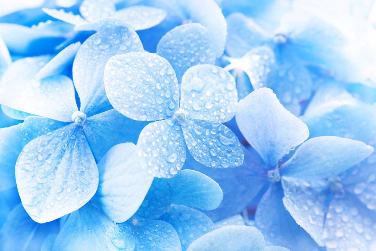 泉鏡花の『雨ふり』あらすじ紹介。自然と人間、時代の情緒を味わうひととき