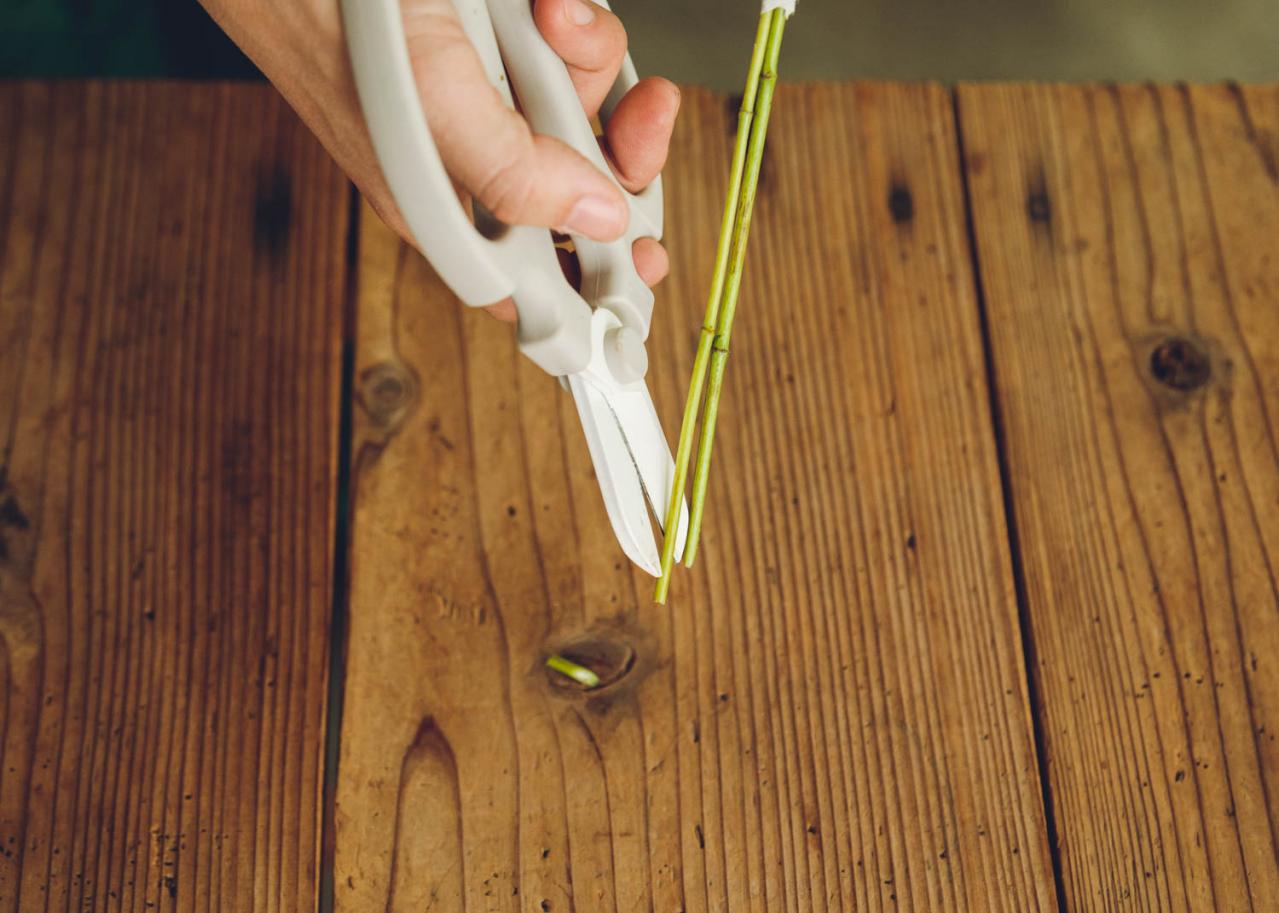 花のもちが格段に変わるひと手間【フラワーアレンジメント】プロは「すぐ水につけない」！？（画像6）