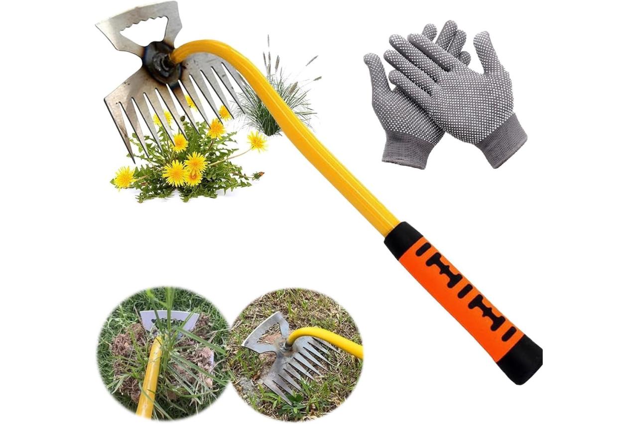 初夏の園芸作業に！【最大15％OFF】自動水やり器、雑草抜き器、ガーデニングツール…なんでも揃う【Amazonタイムセール】