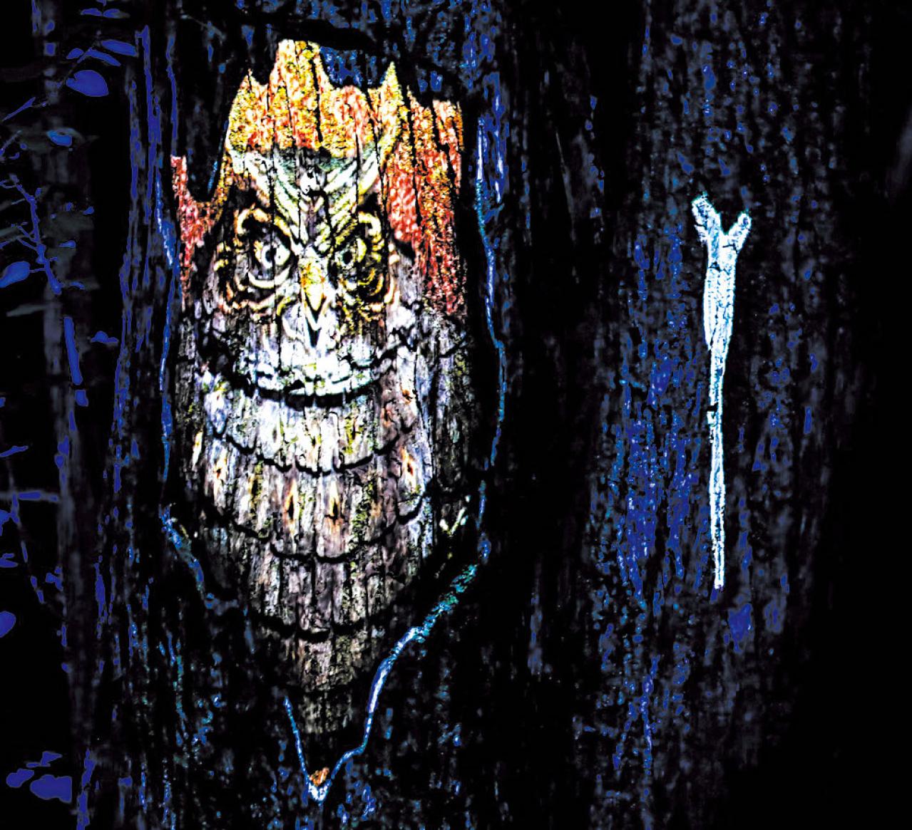 阿寒湖の森ナイトウォーク