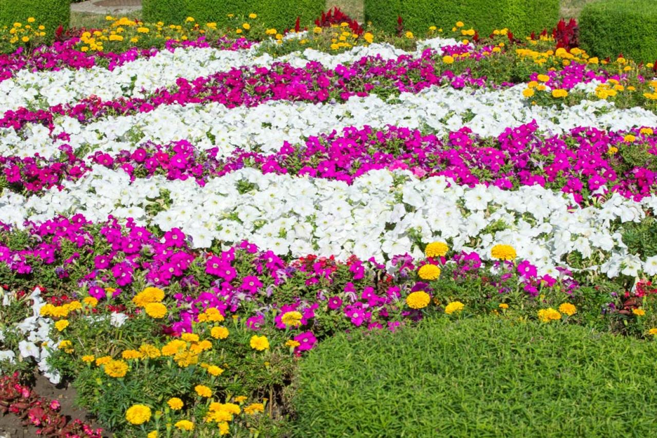 【ガーデニング】庭がもっと素敵になる。映える空間をつくる基本の5ポイントとは？（画像2）