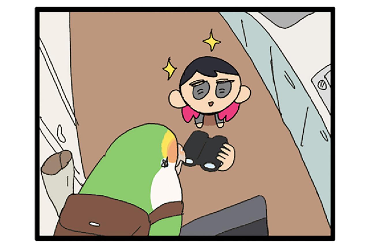 放鳥中のインコ　ゴルちゃん・ビビりでかわいいエピソード2選【鳥マンガ＃66】