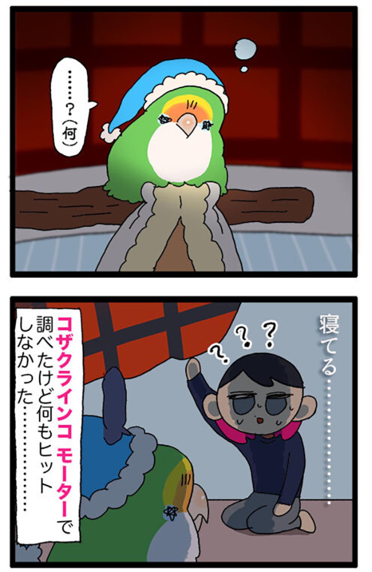 女帝インコ気になる異音／欲張り注意！インコの顎の下モフモフを触る幸福…【鳥マンガ＃68】（画像4）