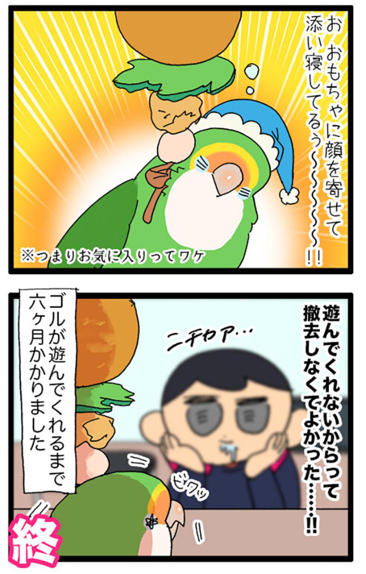 インコの爆弾をミラクルキャッチ！／女帝インコのうれしい心変わり【鳥マンガ＃69】（画像6）