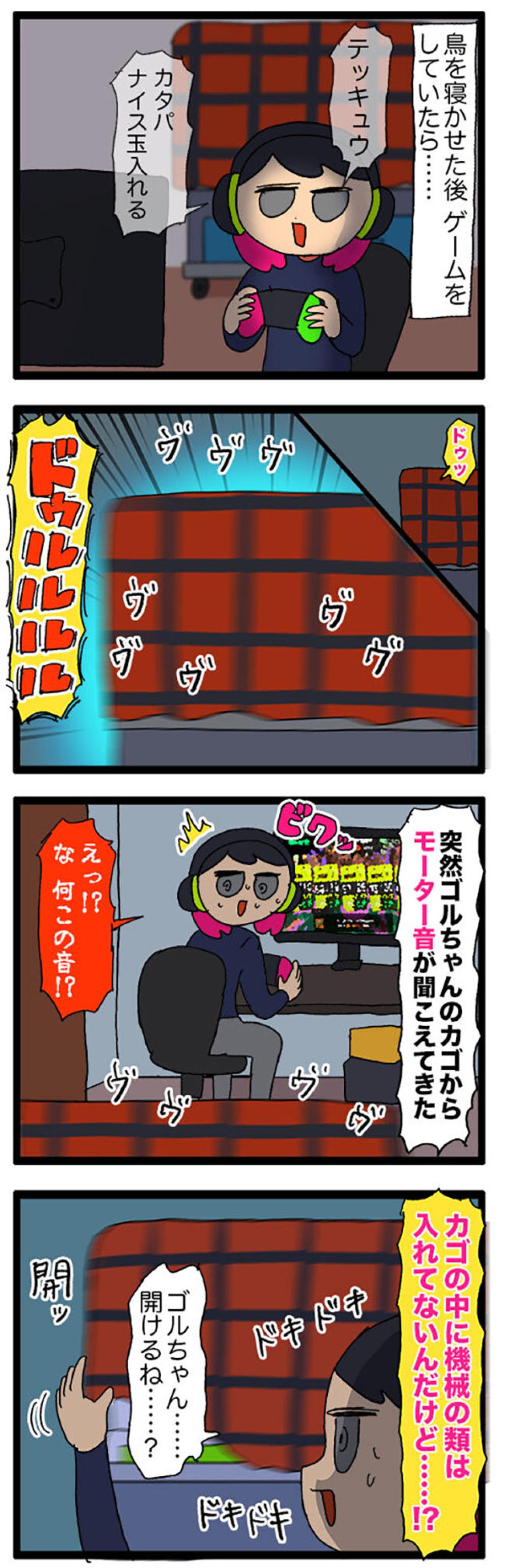 女帝インコ気になる異音／欲張り注意！インコの顎の下モフモフを触る幸福…【鳥マンガ＃68】（画像3）