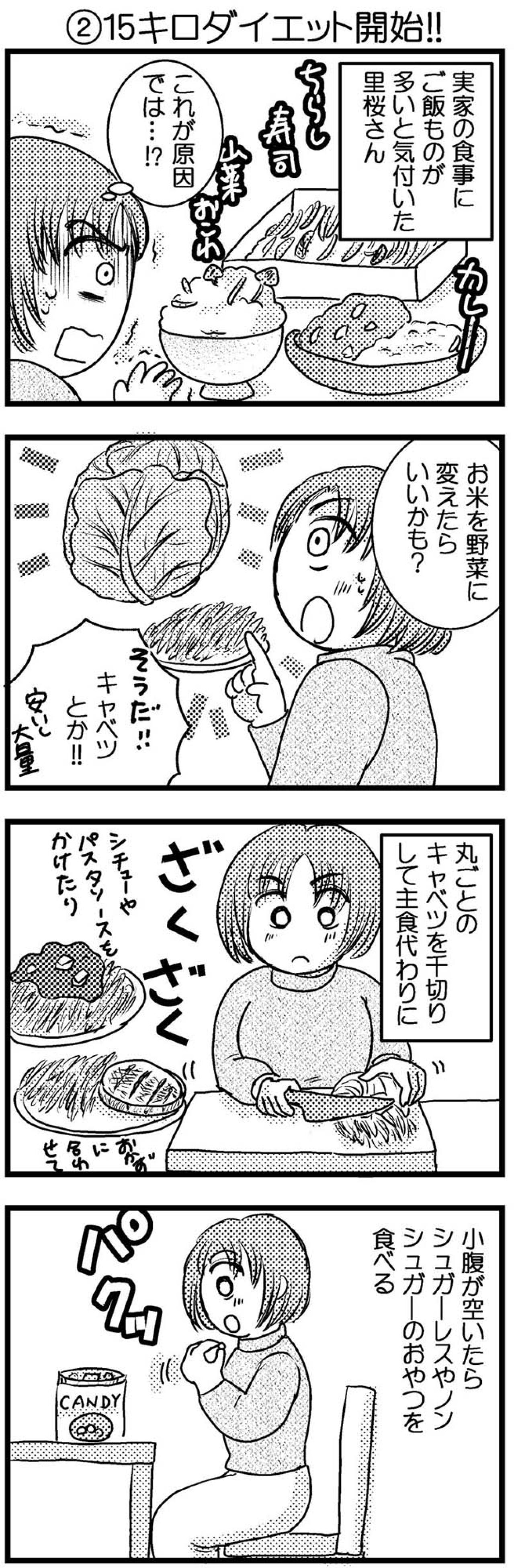 15kgやせに成功した21歳女性の、意外に簡単な工夫とは？【脱デブ日記 #88】（画像2）