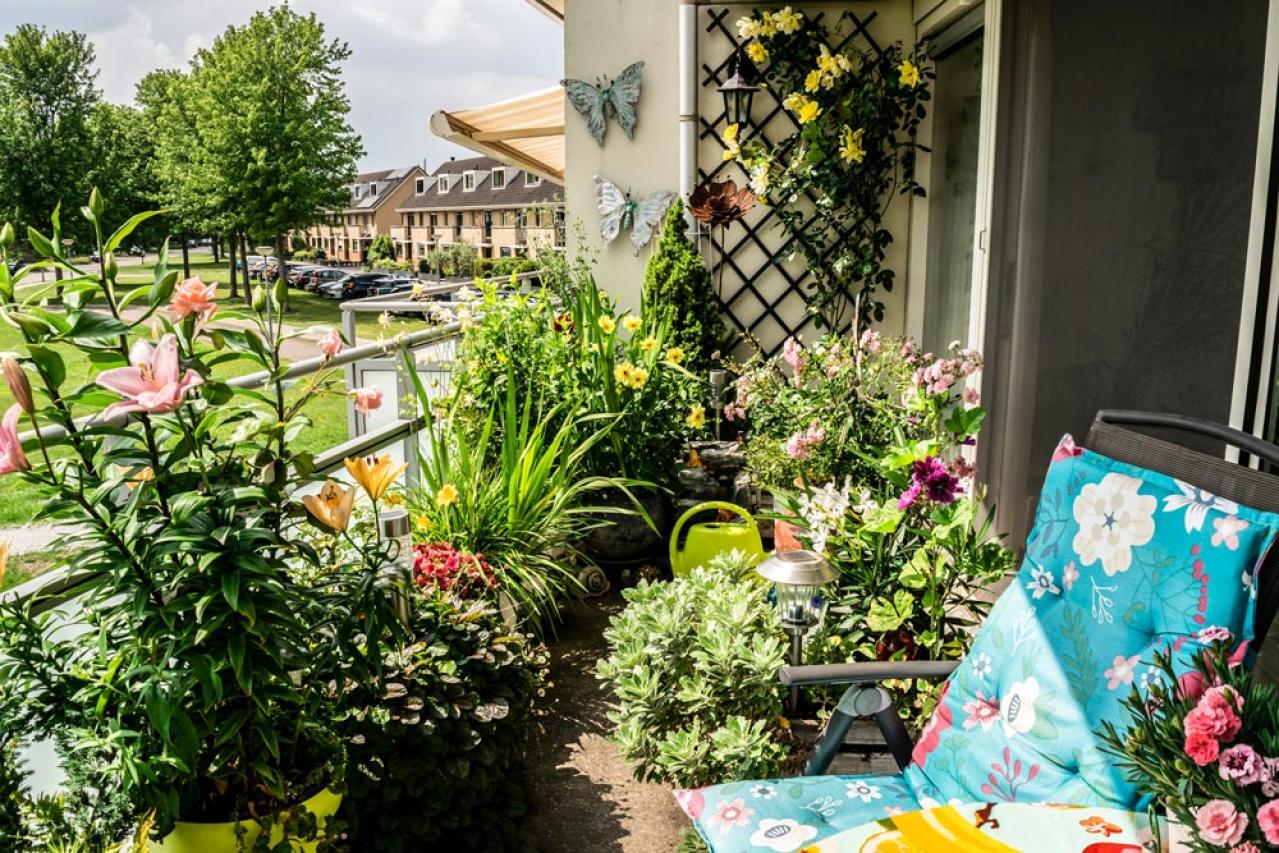 【ガーデニング】庭がもっと素敵になる。映える空間をつくる基本の5ポイントとは？（画像10）