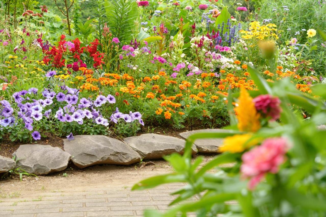 【ガーデニング】庭がもっと素敵になる。映える空間をつくる基本の5ポイントとは？（画像9）