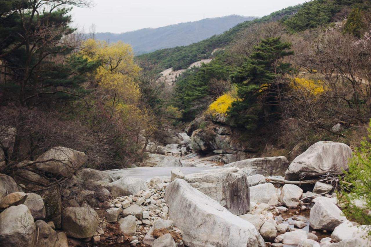 韓国ドラマ【ホジュン】ウィテは師としてジュンに授ける最期の“授業”をする。胸アツの 19〜28話レビュー（画像3）