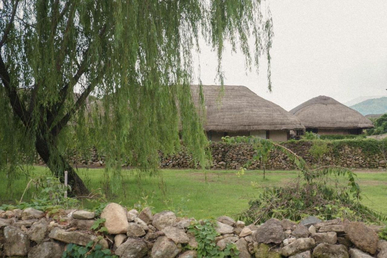 韓国ドラマ【ホジュン】衝撃的な最期を迫真の演技で見せてくれたソン・ジェヒに胸が締め付けられる 28〜37話レビュー（画像2）