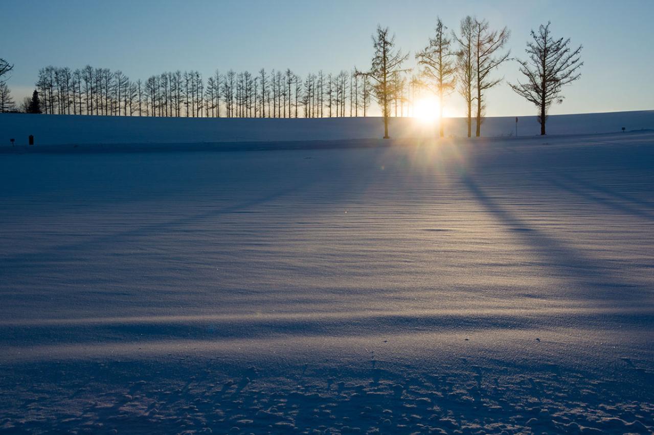 有島武郎の『生まれいずる悩み』あらすじ紹介。才能と現実のせめぎ合い——若者の壮絶な葛藤とは？