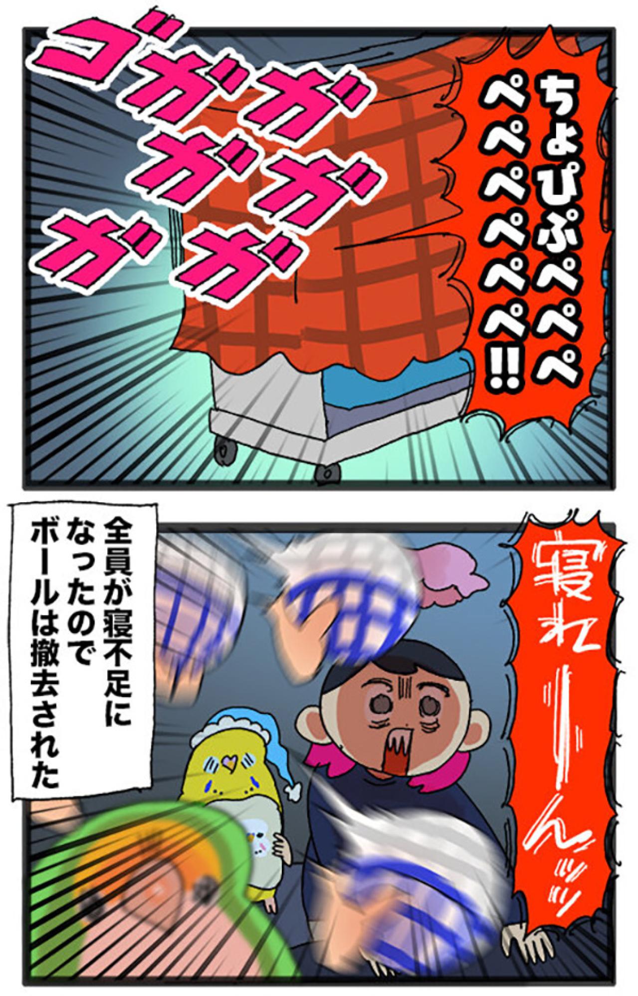 女帝インコが大好きなおもちゃ／自分のことだけ見てほしい！【鳥マンガ＃73】（画像5）