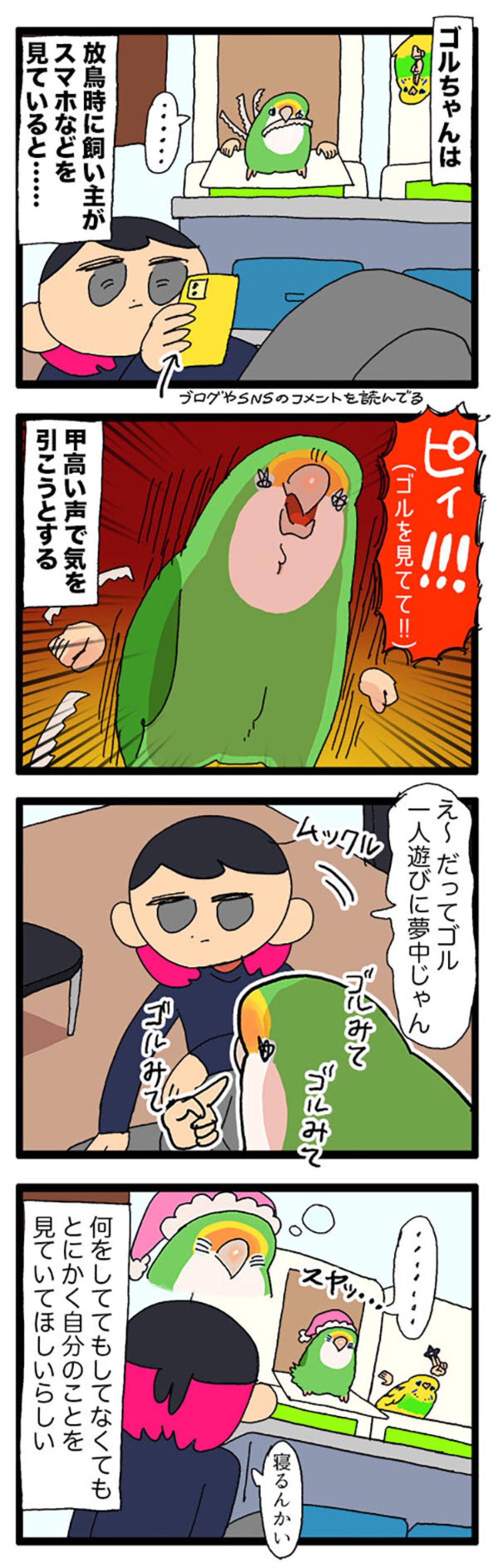 女帝インコが大好きなおもちゃ／自分のことだけ見てほしい！【鳥マンガ＃73】（画像6）