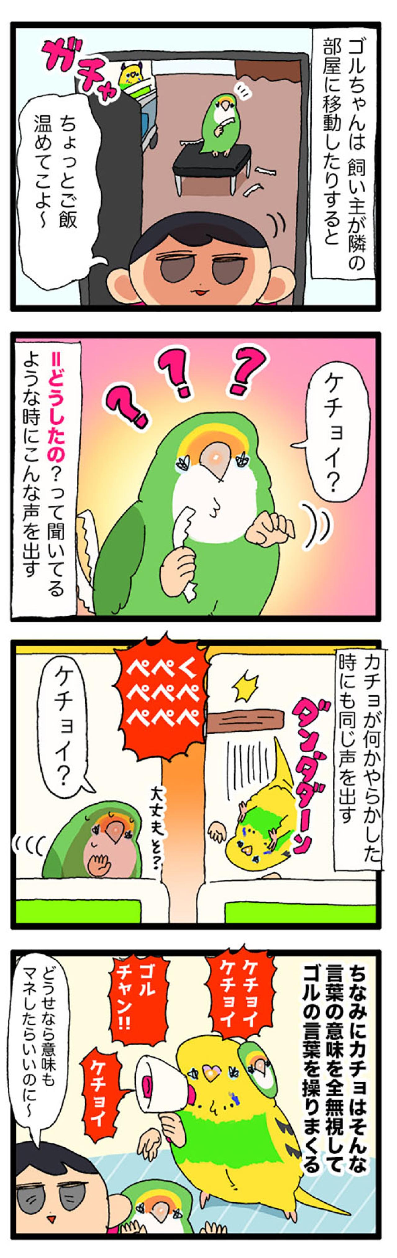 体調不良中にやってほしくないこと／インコの話す「ケチョイ」ってどんな意味？【鳥マンガ＃71】（画像6）