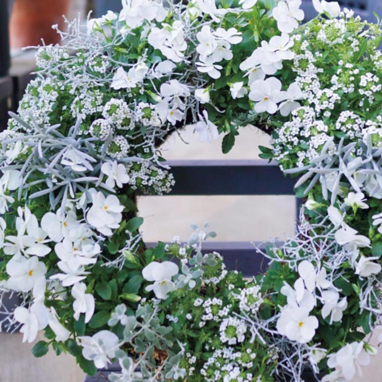 ハンギングリース