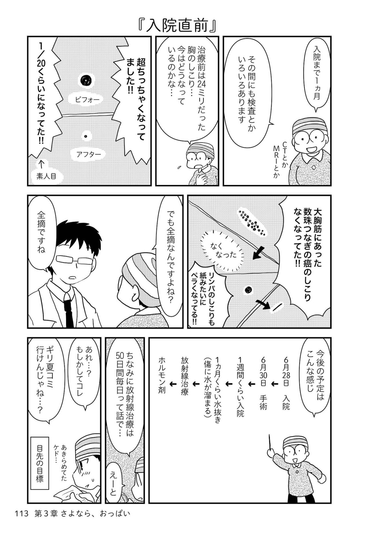 乳がん手術。胸全摘手術後、仕事復帰までどのくらいかかる？【乳癌日記 #45】（画像2）