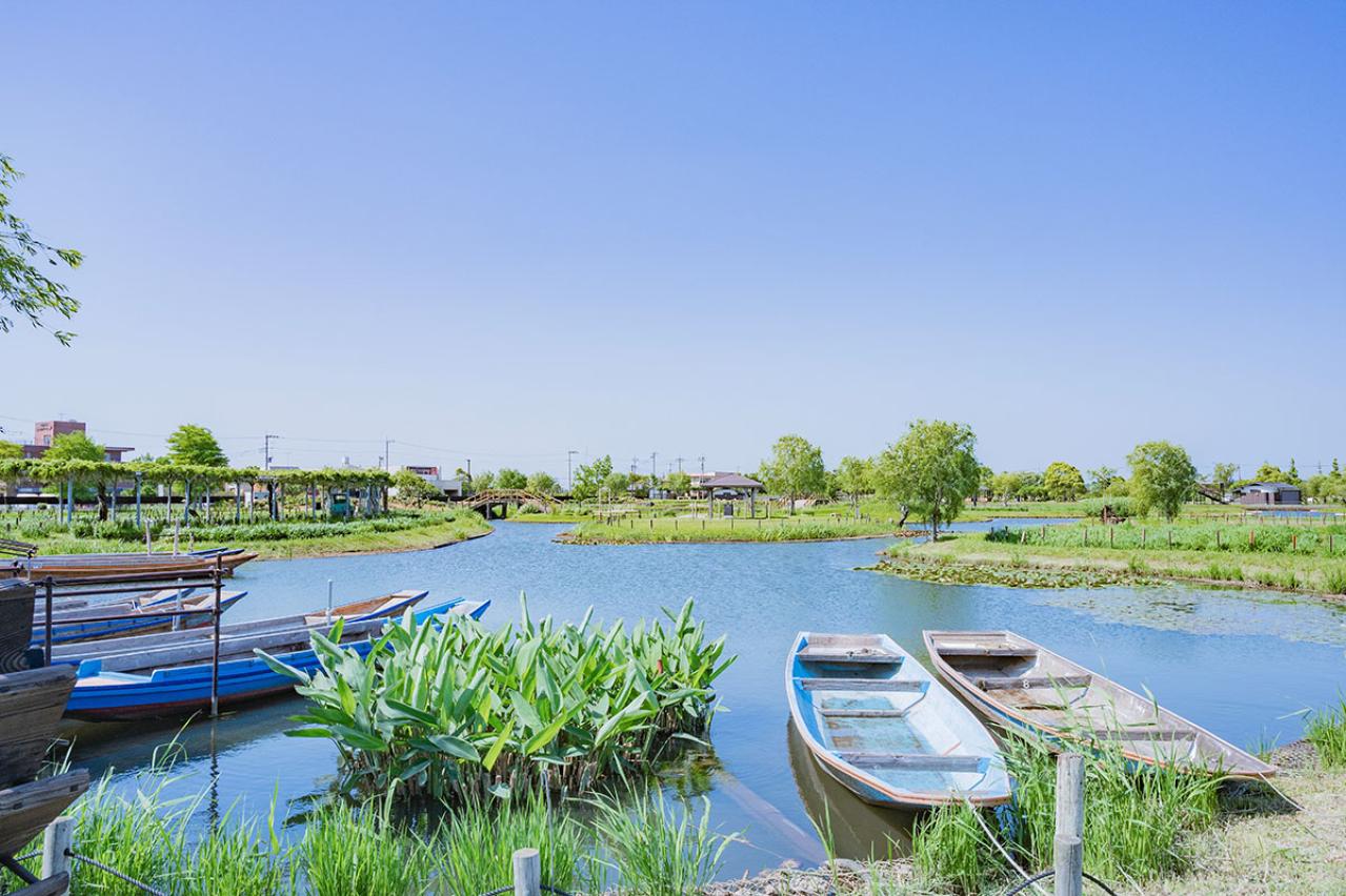 若山牧水の『水郷めぐり』あらすじ紹介。霞ヶ浦や香取神社の旅情溢れる情景に迫る