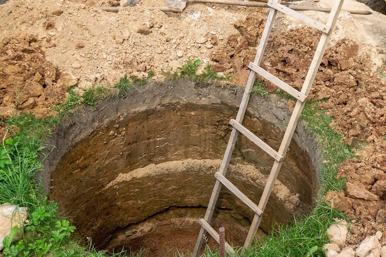 新美南吉の『牛をつないだ椿の木』あらすじ紹介。奉仕と自己犠牲が光る、井戸完成までの物語