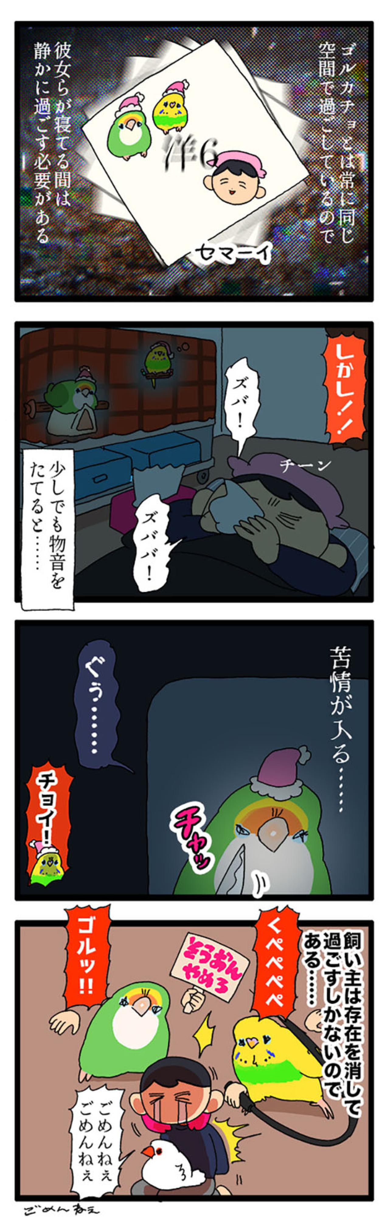 インコが飼い主に苦情を申し立てた理由は？／インコが頭にのっているときの飼い主の願い【鳥マンガ＃76】（画像4）