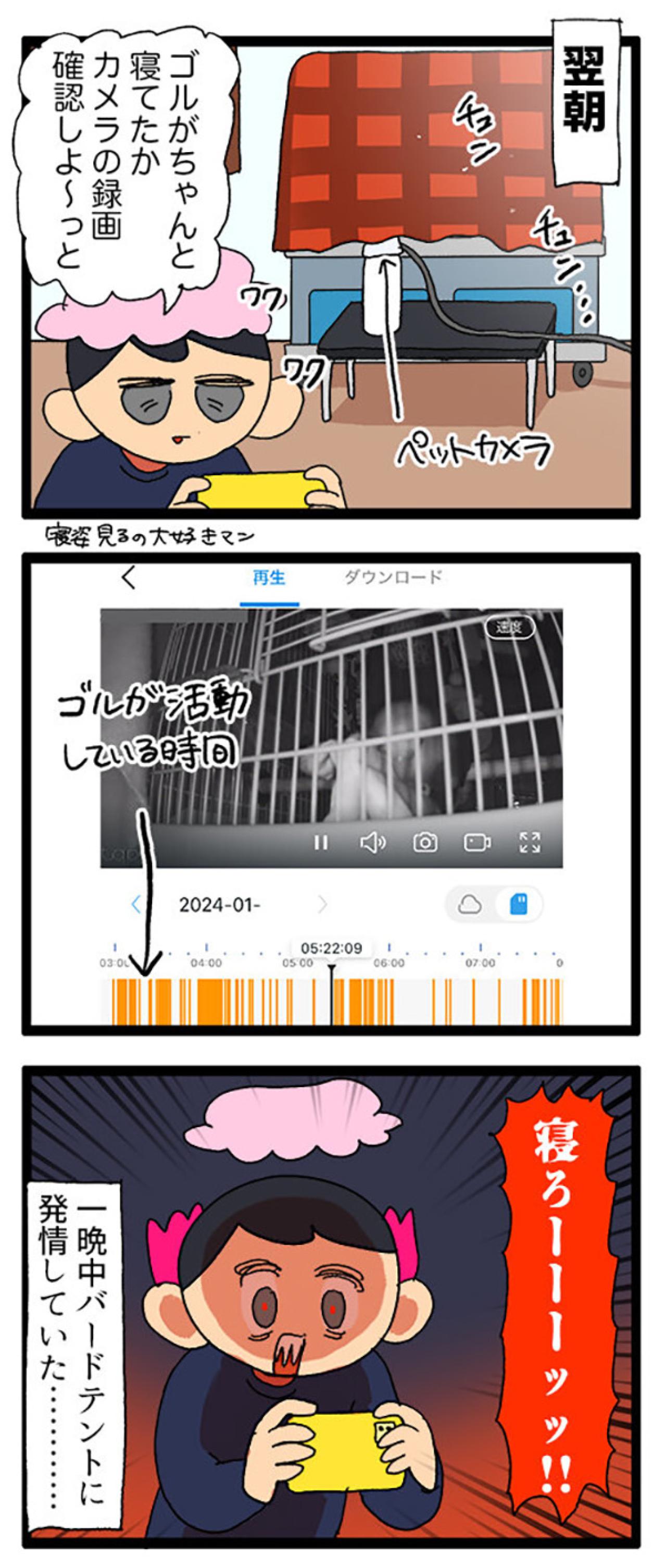 コザクラインコの夜更かしと発情対策／インコも人の気持ちが分かるんです【鳥マンガ＃77】（画像5）