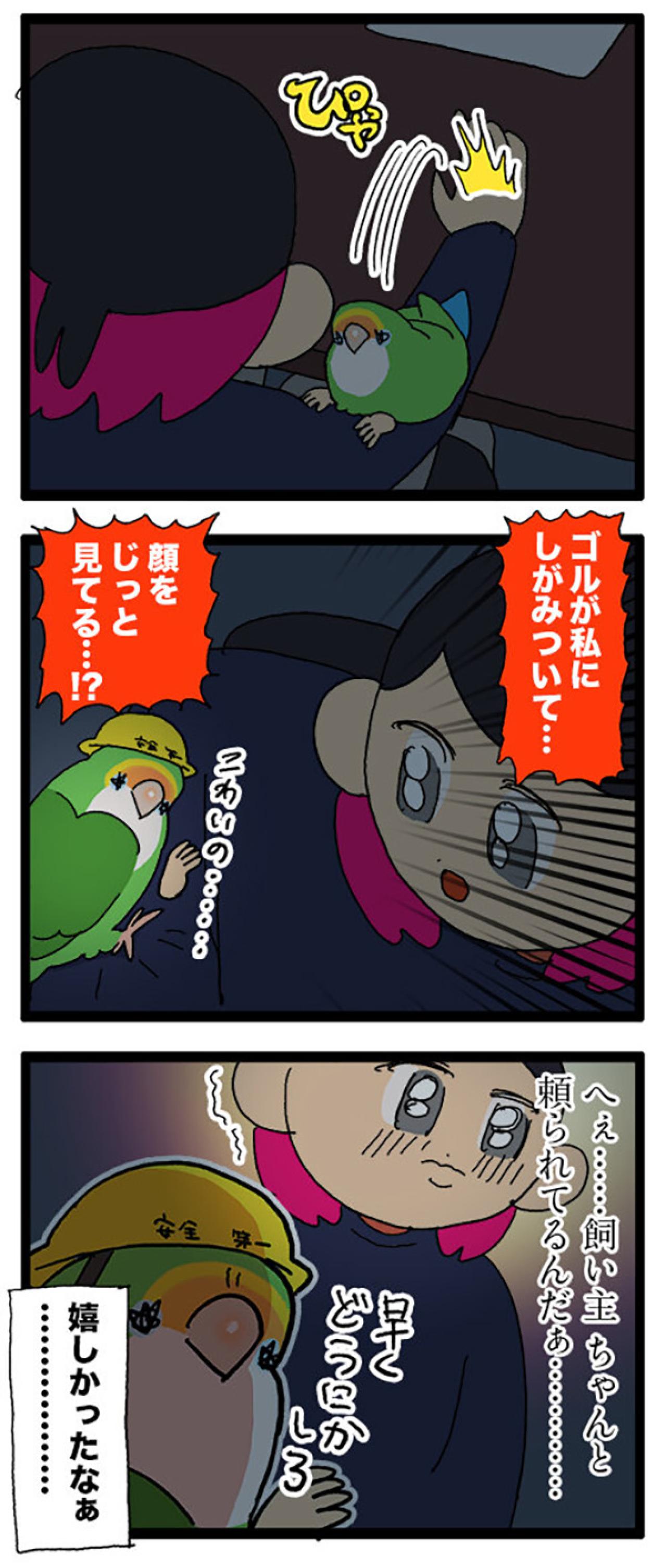 インコの集中力がすごい／「頼られる幸せ」インコ飼いの胸キュンエピソード！【鳥マンガ＃75】（画像6）