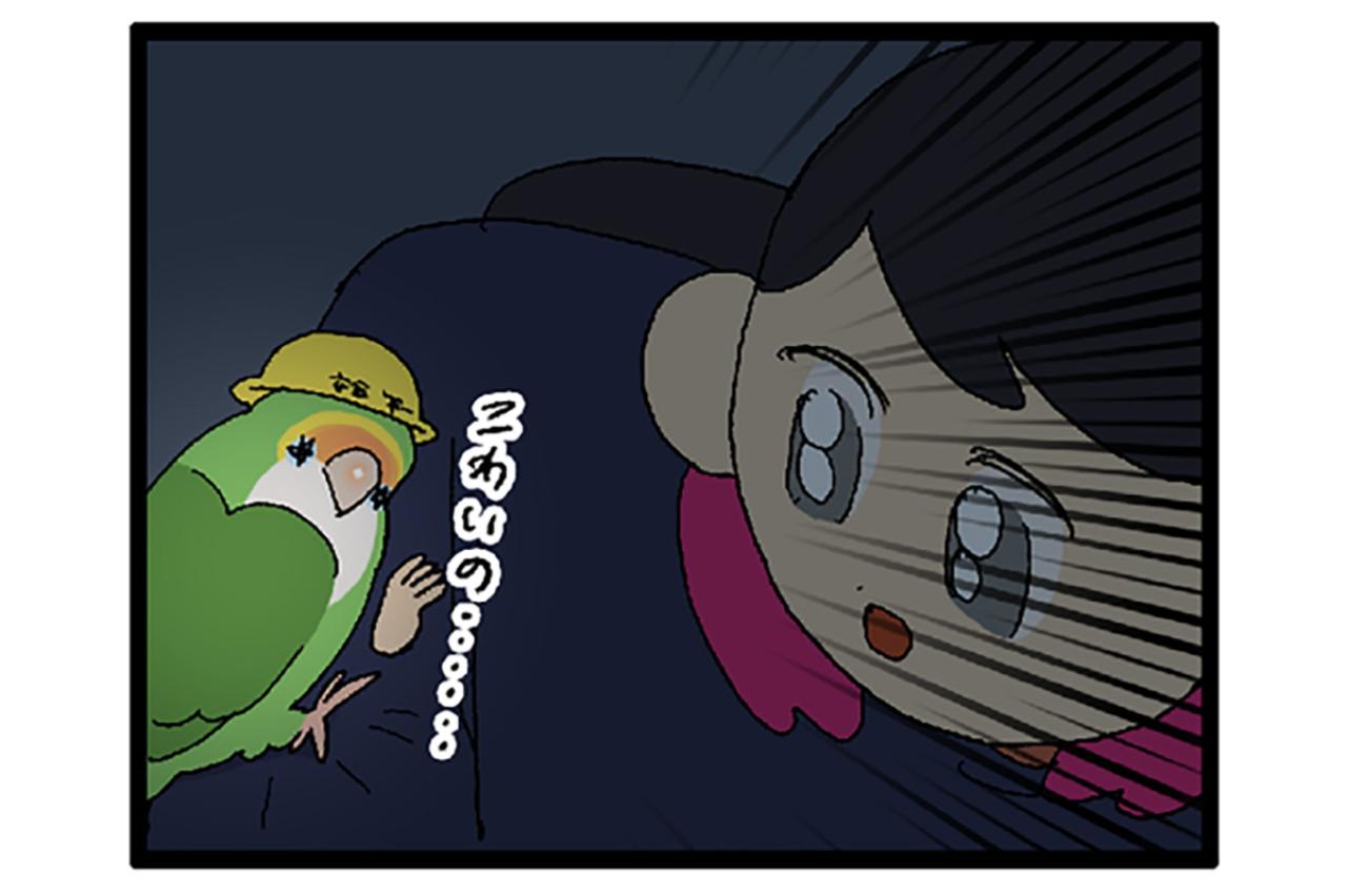 インコの集中力がすごい／「頼られる幸せ」インコ飼いの胸キュンエピソード！【鳥マンガ＃75】