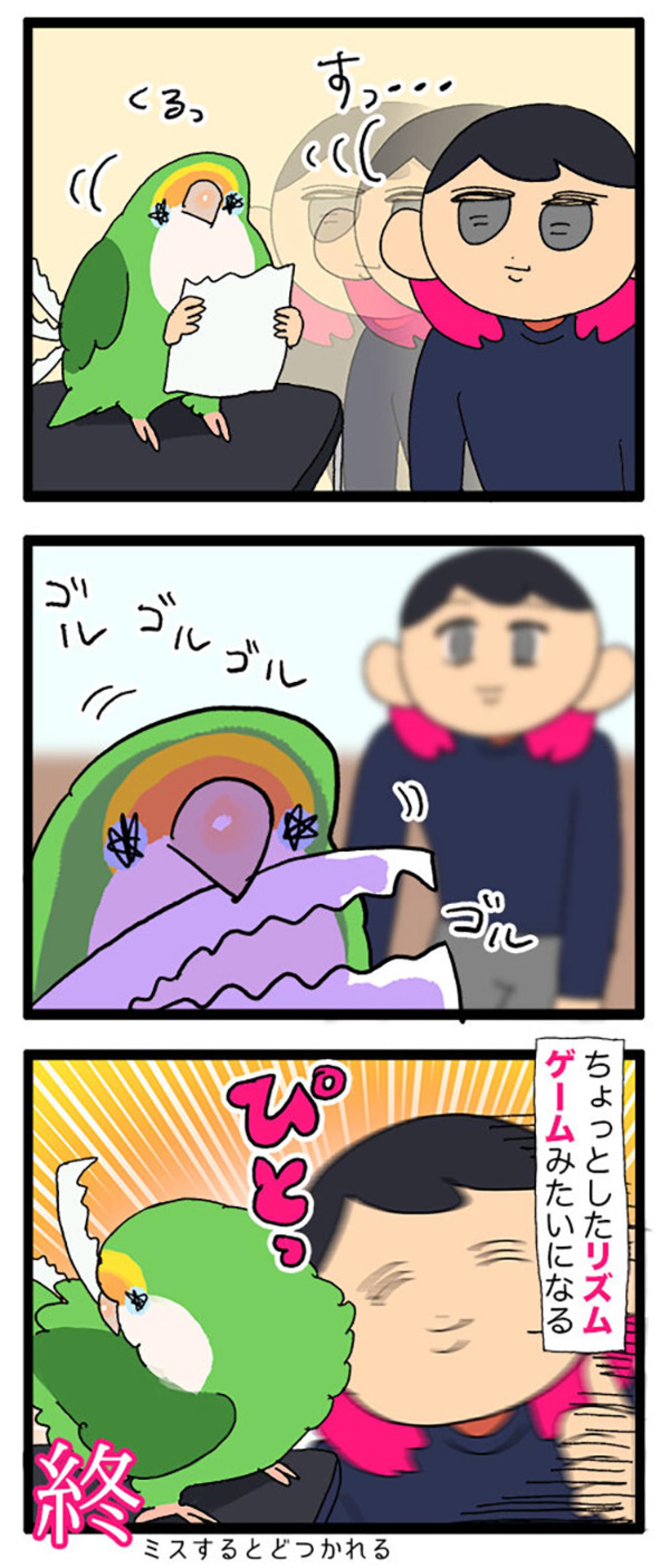 インコの集中力がすごい／「頼られる幸せ」インコ飼いの胸キュンエピソード！【鳥マンガ＃75】（画像4）