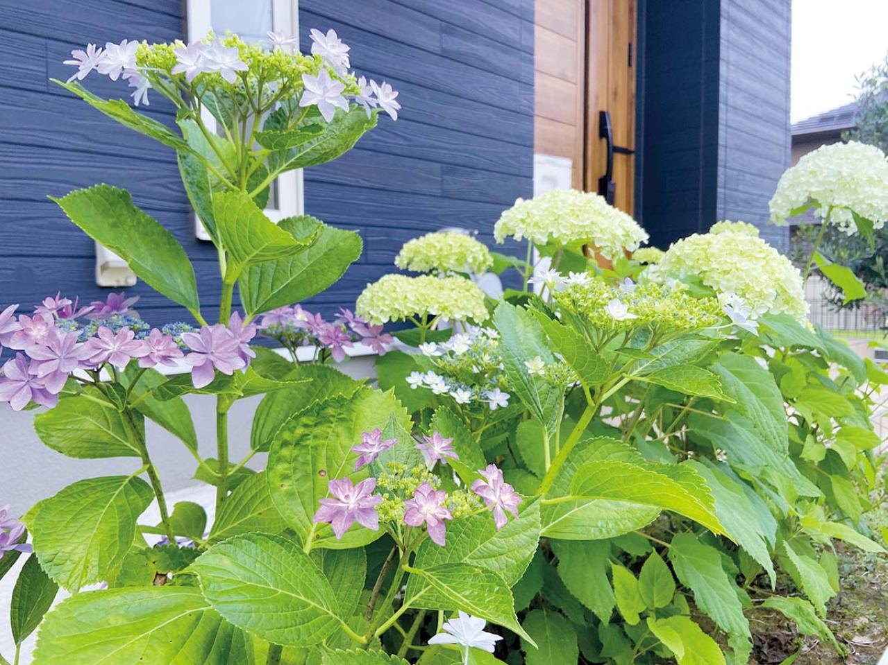 51歳で選んだ「約60平方メートルの平屋」80歳まで住むためにこだわった、たった1つの箇所とは？（画像11）