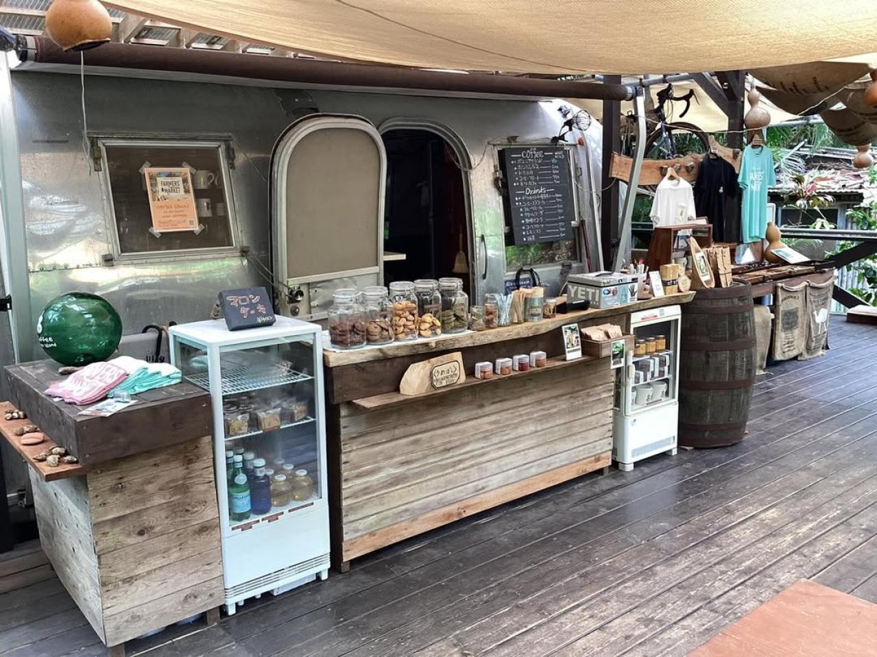 【夏の島旅】戦後80年の今こそ訪れたい【小笠原諸島】青い海が広がる3島のおすすめスポットは？（画像6）