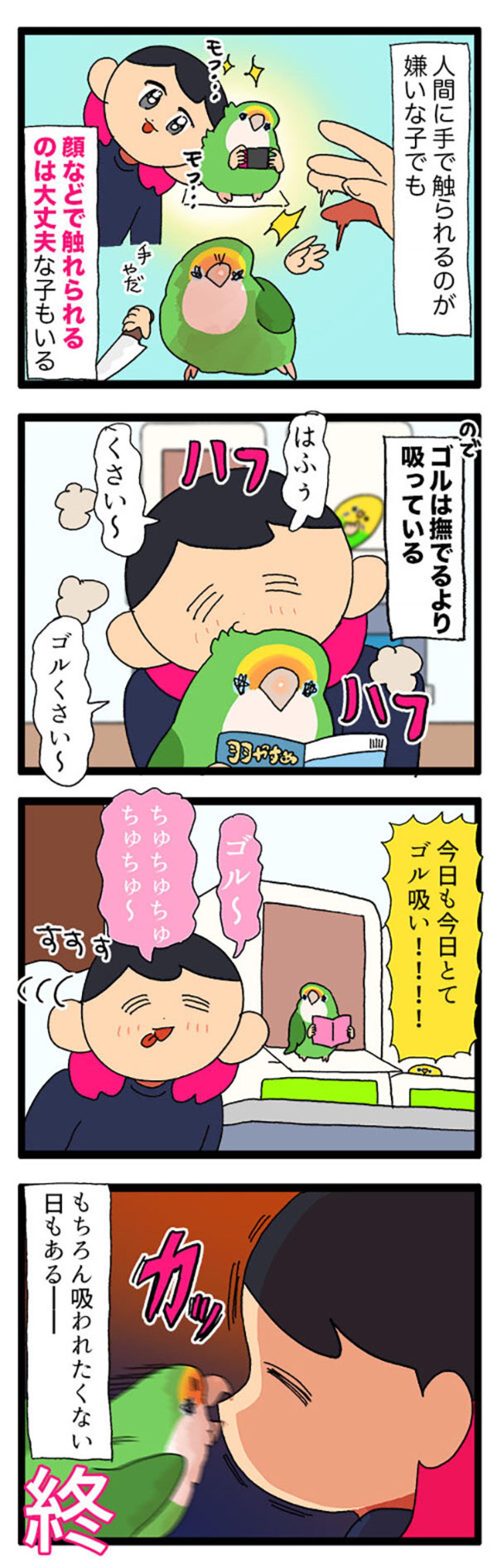 飼い主は常に許されている訳ではない／ラブバードを飼うと部屋が散らかりがち【鳥マンガ＃78】（画像4）