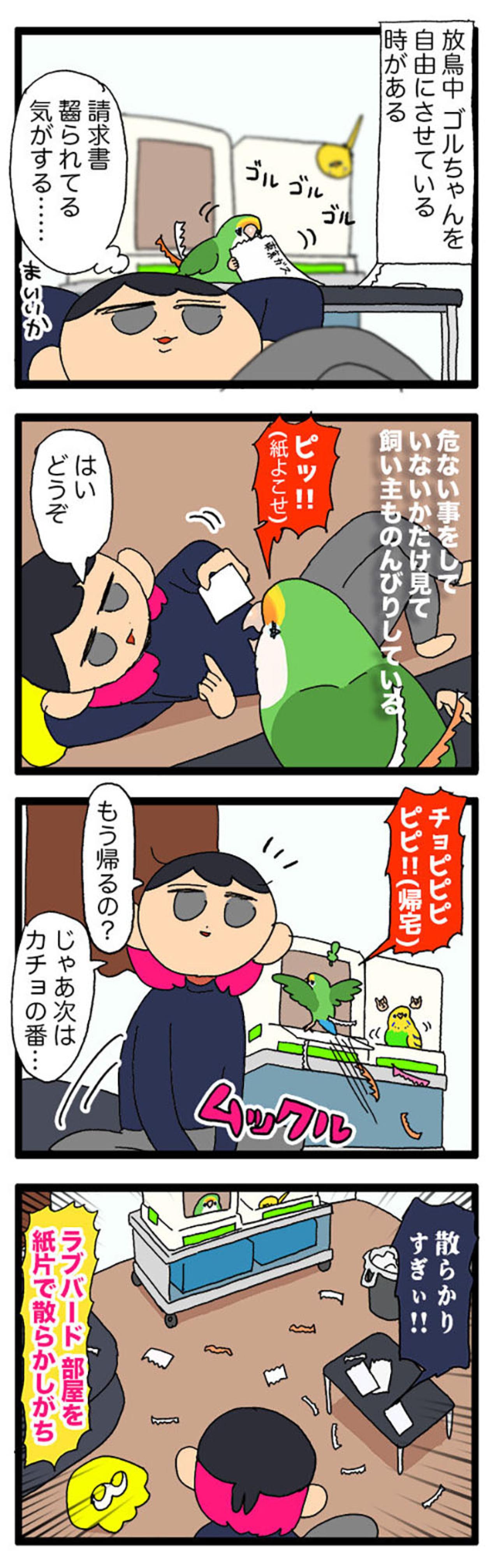 飼い主は常に許されている訳ではない／ラブバードを飼うと部屋が散らかりがち【鳥マンガ＃78】（画像5）