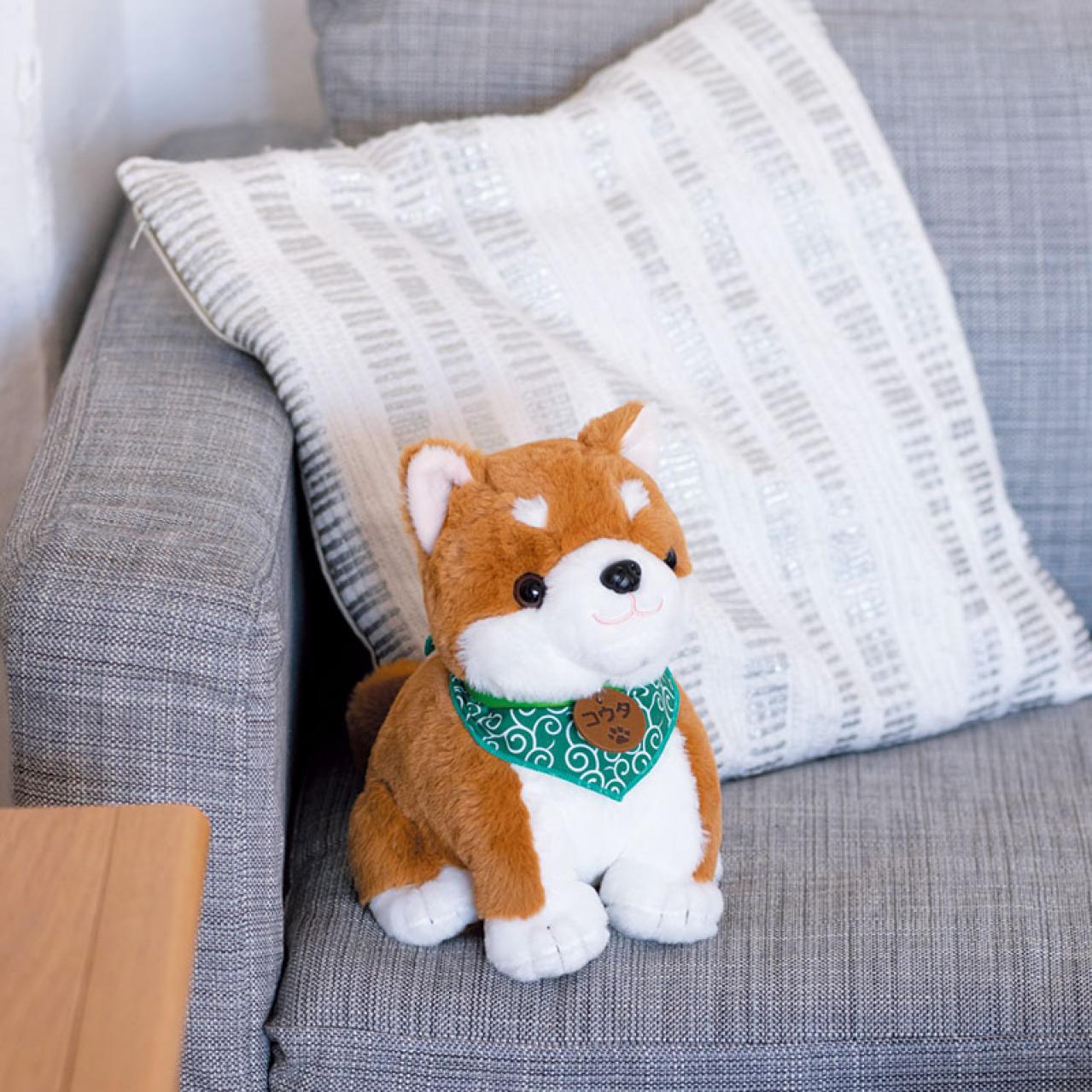 「高齢の母にプレゼントしました」認知症予防にも。ウワサの「こんにちワン！しばいぬコウタ」とは？（画像3）