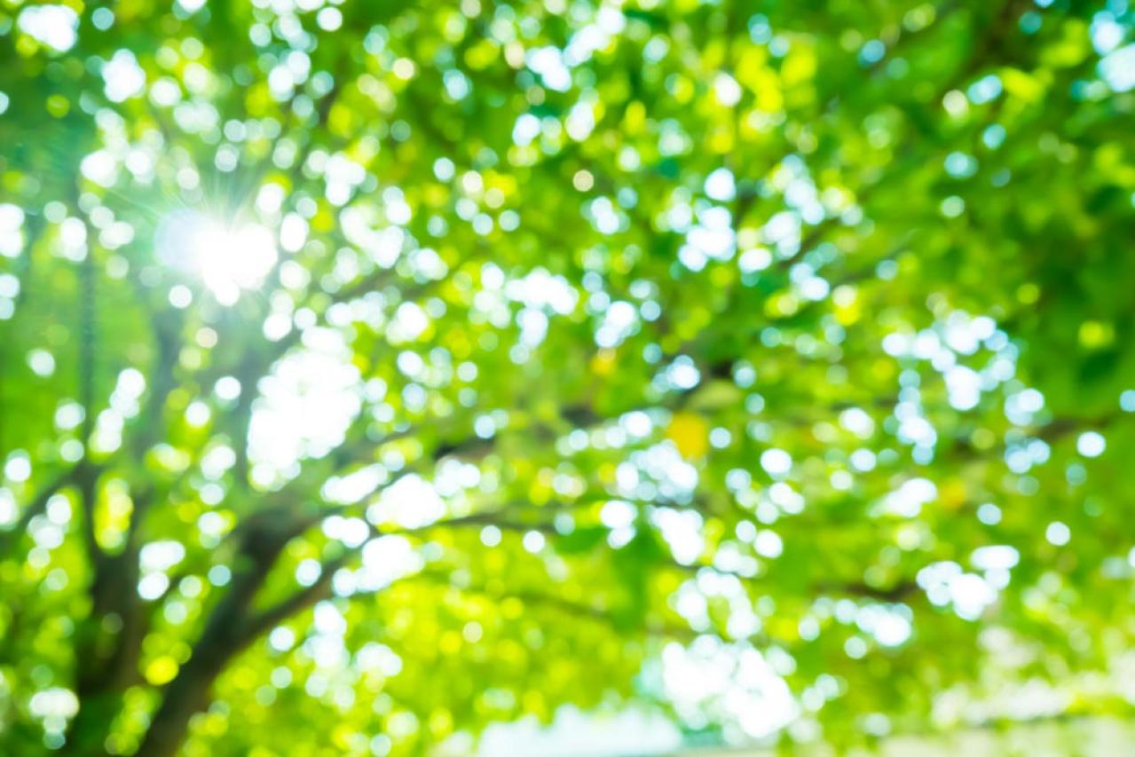 再発がん治療中の気持ちの切り替え方…禅僧・枡野俊明さんに聞く、つらいからこそ気づける小さな喜びとは？（画像2）