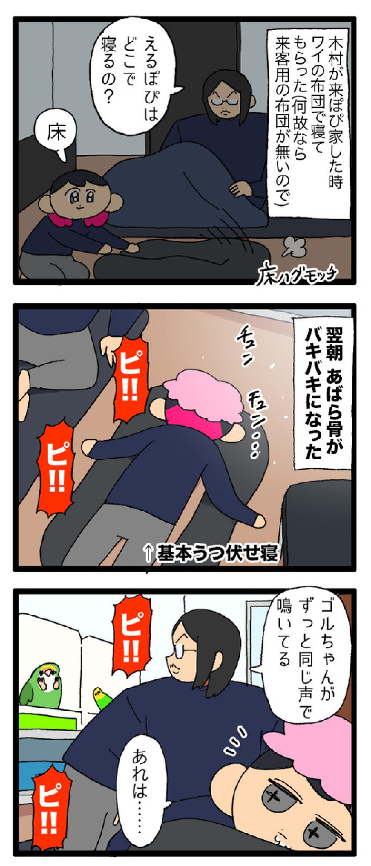 インコだって人見知りする／ゴルちゃんが疲れていても怠らないことは？【鳥マンガ＃83】（画像3）