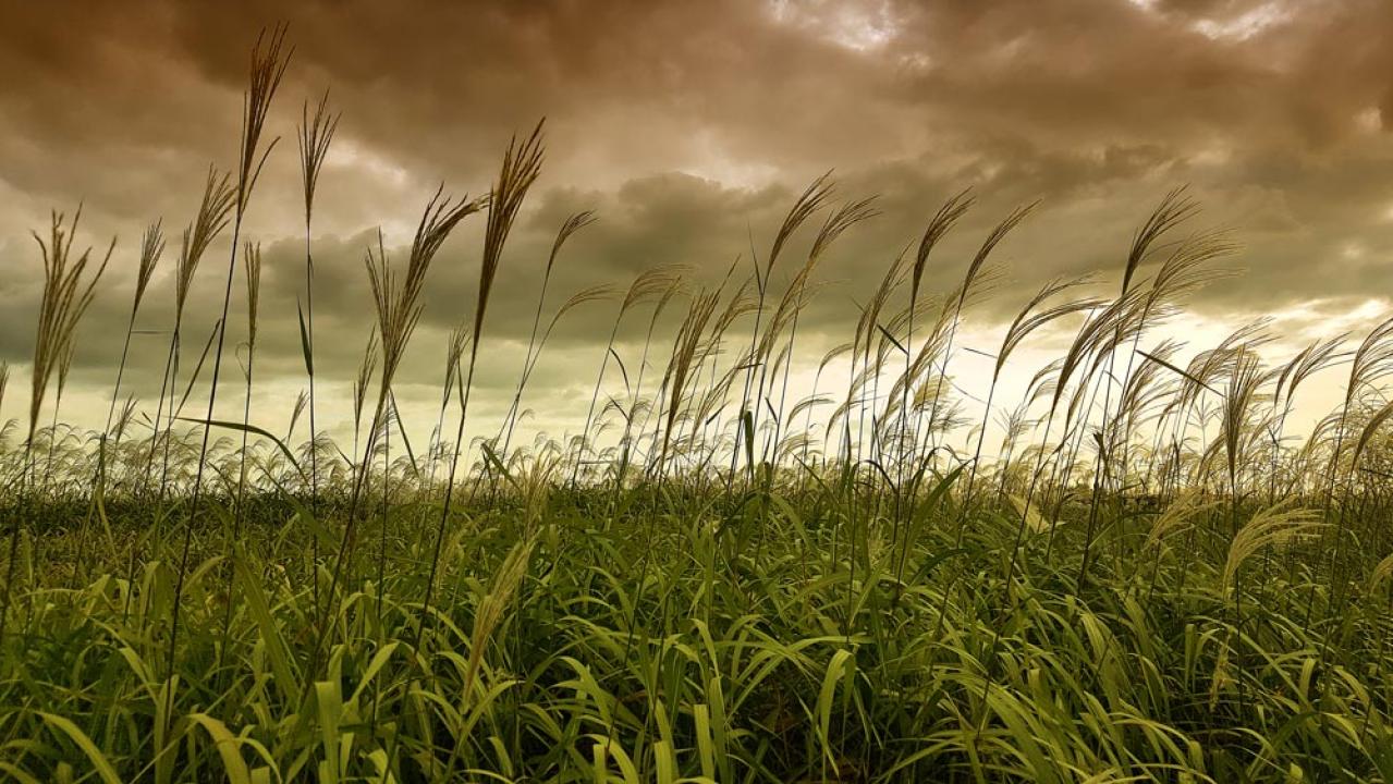 【ホジュン】理不尽なピンチが降りかかる大長編…ついに最終話へ！60〜68話［韓国ドラマ】医女イェジン再登場の真意は？（画像4）