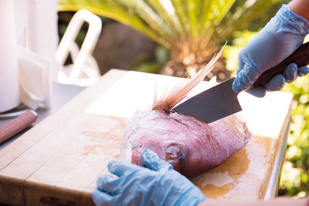 【79歳・中尾ミエさん】ご近所づきあいで得た「魚の捌き方」お刺身がおいしいのは、釣りたてよりも2～3日後！？（画像4）