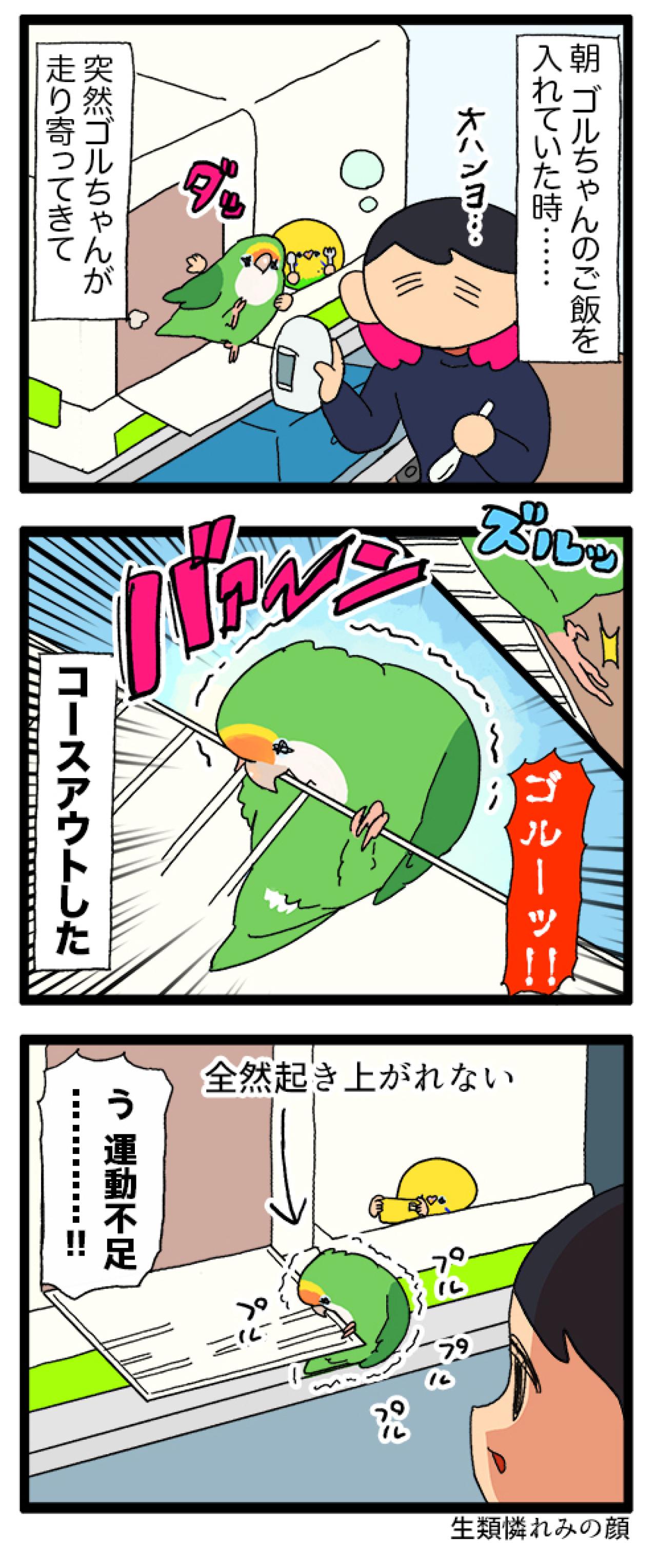 運動不足疑惑のコザクラインコ／落ち込むインコ…回復までどれぐらい？【鳥マンガ＃84】（画像4）