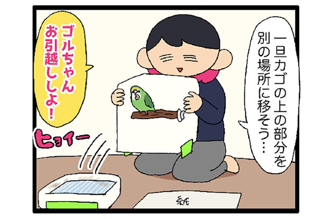 鳥かごを洗うのも命がけ／インコにとっての飼い主の指とは？【鳥マンガ＃82】