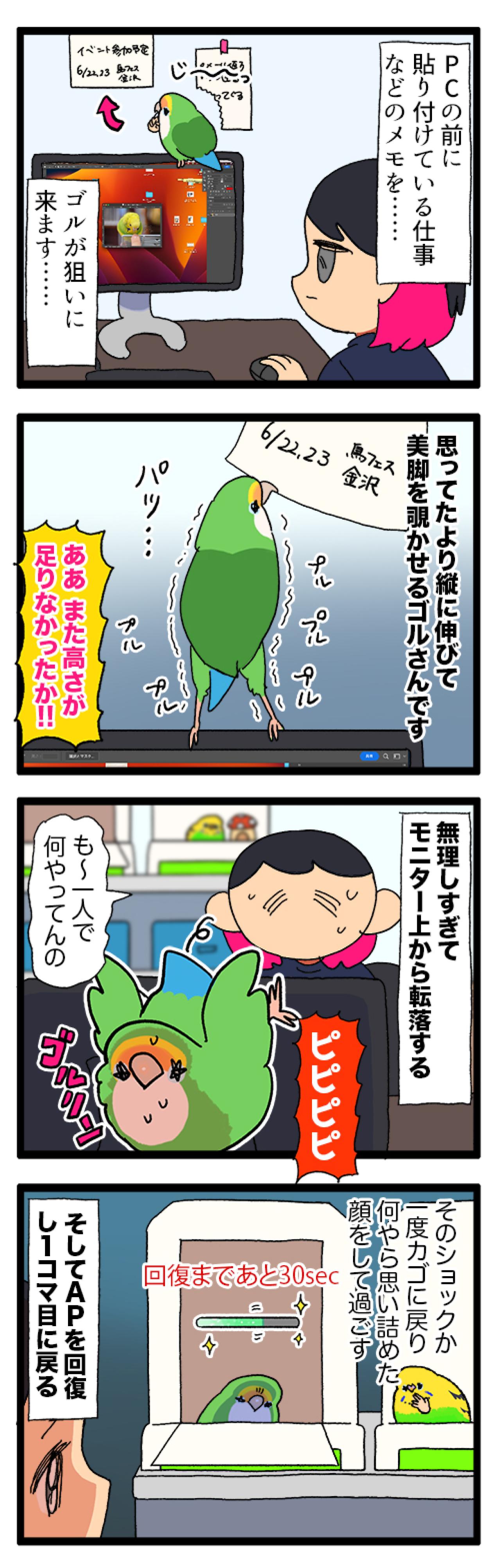 運動不足疑惑のコザクラインコ／落ち込むインコ…回復までどれぐらい？【鳥マンガ＃84】（画像6）