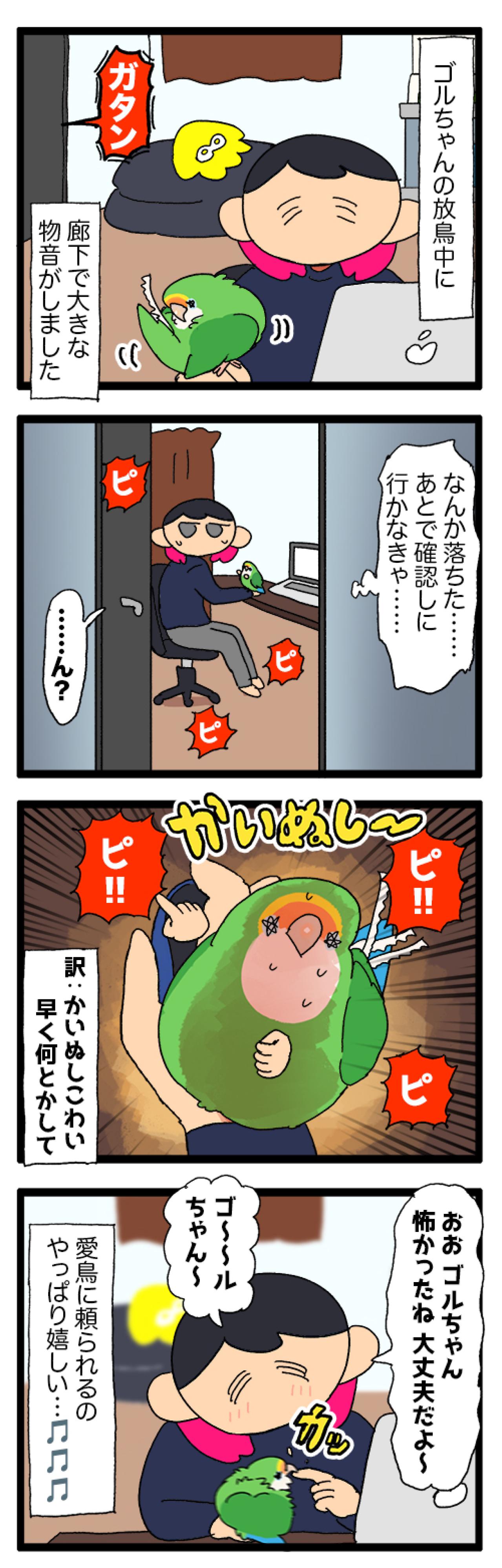 インコが恐怖を訴えるときの対応／引っ越し…インコは新居に慣れた？【鳥マンガ＃85】（画像4）