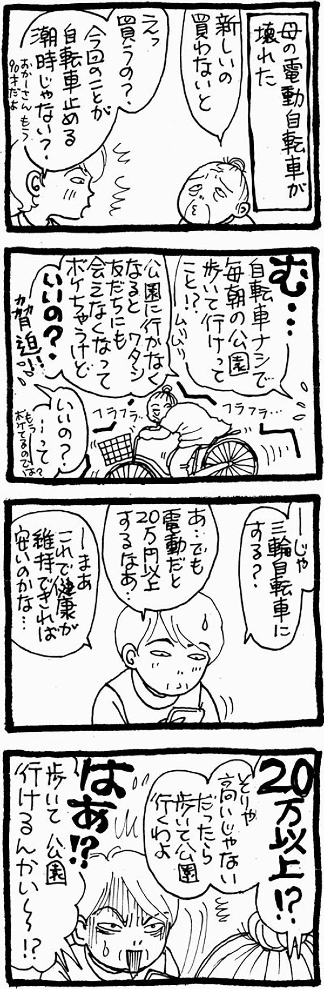 高齢者でも安心！？認知症の母に最適な三輪自転車、購入までの葛藤【認知症母との介護生活#32】（画像2）